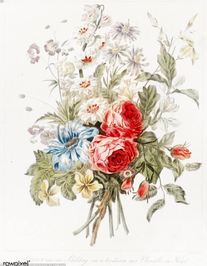 Planche botanique — en attendant le portrait du fondateur